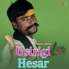 Usirigi Hesar