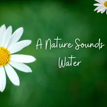 A Nature Sounds Water