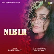 Nibir