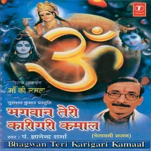 Bhagwan Teri Karigari