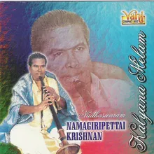Vinayaka (Namagiripettai Krishnan)