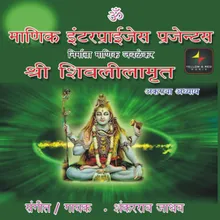 Om Namah Shivaya-Aarti