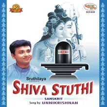 Shivaashtakam