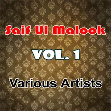 Saif Ul Malook - Shahid