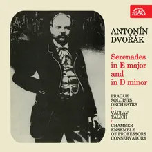 Serenade for Wind Instruments, Op. 44, B. 77: IV. Finale. Allegro molto