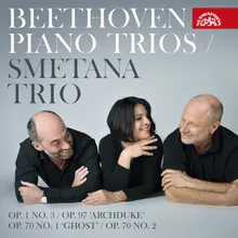 Piano Trio No. 3 in C Minor, Op. 1: No. 3, Menuetto. Quasi allegro - Trio