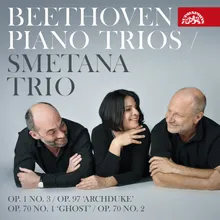 Piano Trio No. 2 in E-Flat Major, Op. 70: No. 3, Allegretto ma non troppo