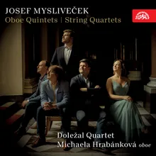 Quintet No. 1 in B-Flat Major: II. Larghetto