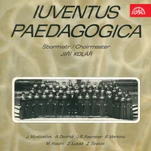 Notturnas: 3. Andantino