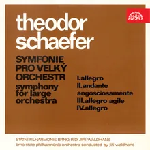 Symphony for Large Orchestra: III. Allegro agile