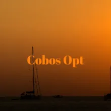 Cobos Opt