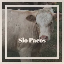 Slo Pacos