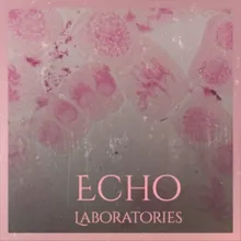 Echo Laboratories