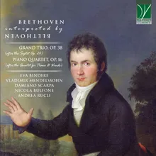 Piano Trio No. 8 in E-Flat Major, Op. 38: IV. Andante con variazioni