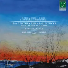 3 Fantasiestücke, Op. 111: No. 1 in C Minor, Sehr rasch, mit leidenschaftlichem Vortrang Transcription by Gabriele Dal Santo e Luigi Marasca