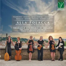 Concerto all Polonese, TWV 43:G7: II. Allegro