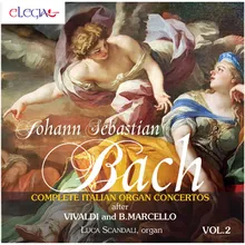 Concerto in C Major, BWV 594 "After Antonio Vivaldi "Grosso Mogul" RV 208": I. Senza indicazione di tempo
