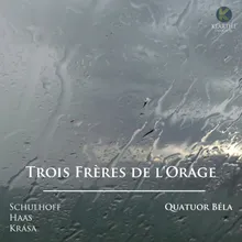 Quatuor No. 2, Op. 7 "Des montagnes du singes": IV. Nuit sauvage – Vivace e con fuoco