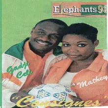 Eléphants 98