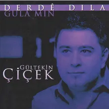 Gula Mın