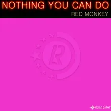 Nothing You Can Do House Version