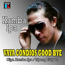 Vaya Condios Good Bye