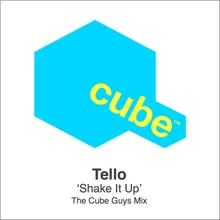 Shake It Up The Cube Guys Mix