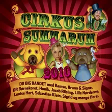 Cirkus Summarum