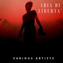 Aria di liberta