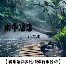 雨中的思念 伴奏