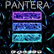 Pantera