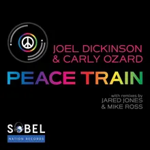 Peace Train Club Mix