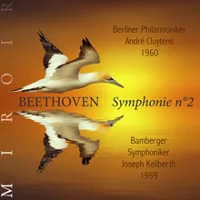 Symphonie n°2, Op. 36: IV. Finale: allegro molto