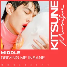 Driving Me Insane