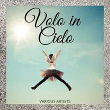 Volo in cielo