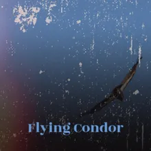 Flying Condor