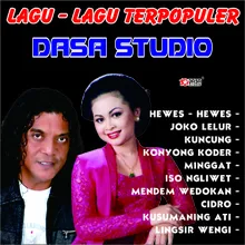 Joko Lelur