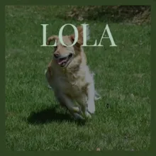 Lola