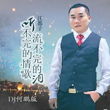 听不完的情歌流不完的泪 DJ何鹏版