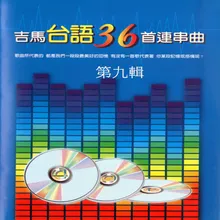 愛愈深心愈凝、想厝的心情、往事就是我的安慰、受傷的心、期待、袂當愛的人、愛情這呢冷、感情放一邊、苦海女神龍、疼惜我的吻、緣未了、我的希望、空思戀、失落情