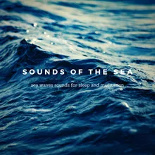 Beyond the Surface Deep Sea Sounds for Sleep and Meditation