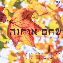 מה שיש לי לומר