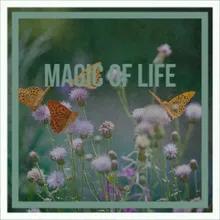 Magic of Life
