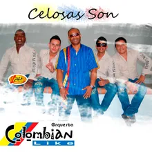 Celosas Son