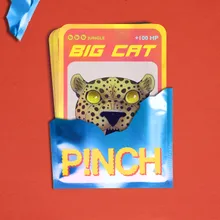 Big Cat