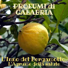 Profumi di Calabria L'Inno del Bergamotto, l'agrume della salute