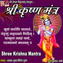 Shree Krishna Mantra