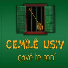 Çavê Te Ronî