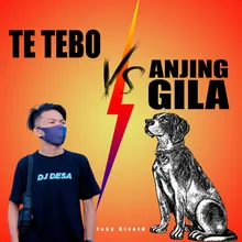 Te Tebo vs. Anjing Gila