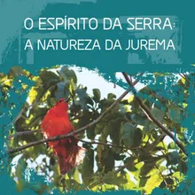 Juremeira